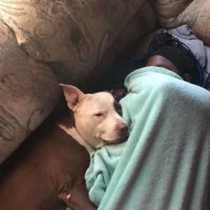 Meet your Posher, Zachary